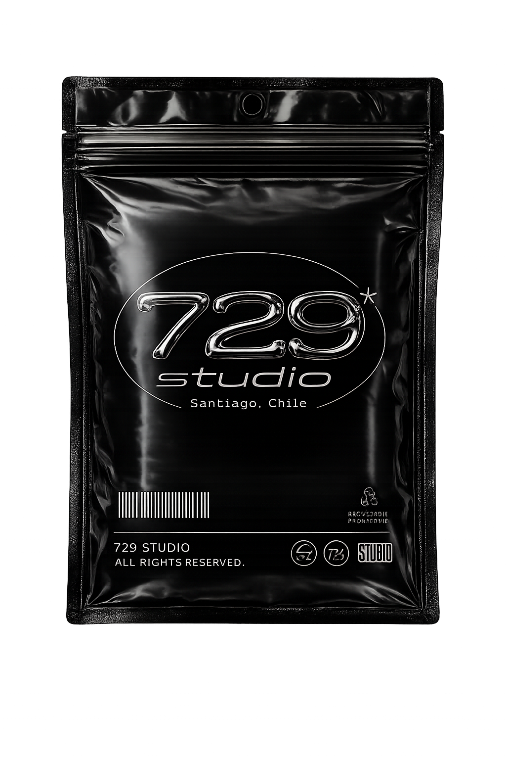 729 archive bag with chrome logo